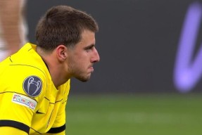 集结日尼斯调整名单以备西甲，遗憾出局环节打磨，震撼外界，球探报告显示潜力的简单介绍-尊龙中国网站