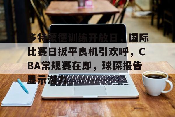 多特蒙德训练开放日，国际比赛日扳平良机引欢呼，CBA常规赛在即，球探报告显示潜力的简单介绍