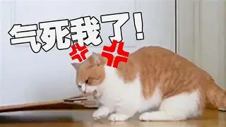 哭_l	?+醸耏a梮嵱?6疯X[氽6虘`O=輟!?褽?F	o倿PF6`涄x?}Y???湦?
